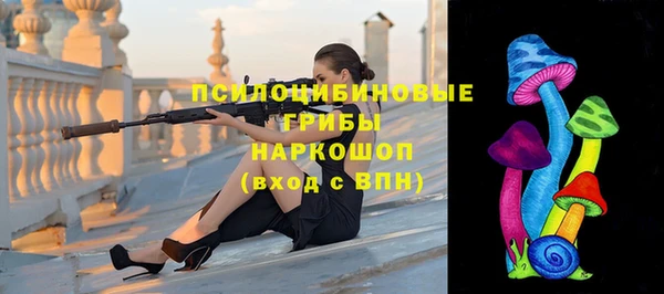 a pvp Алексин