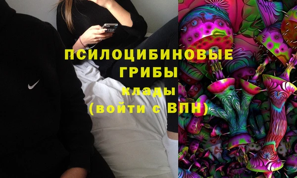 a pvp Алексин