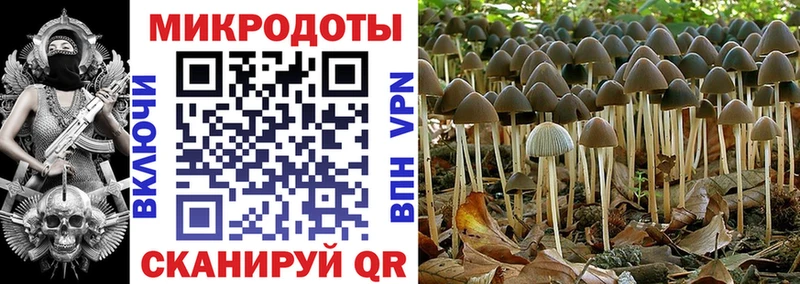 Галлюциногенные грибы мухоморы Шелехов